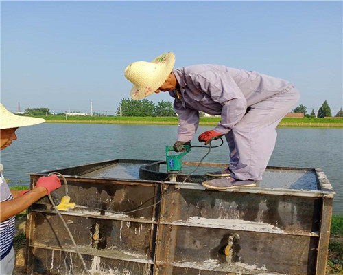 連云港市管道水下安裝技術咨詢 核心要點與專業服務指南